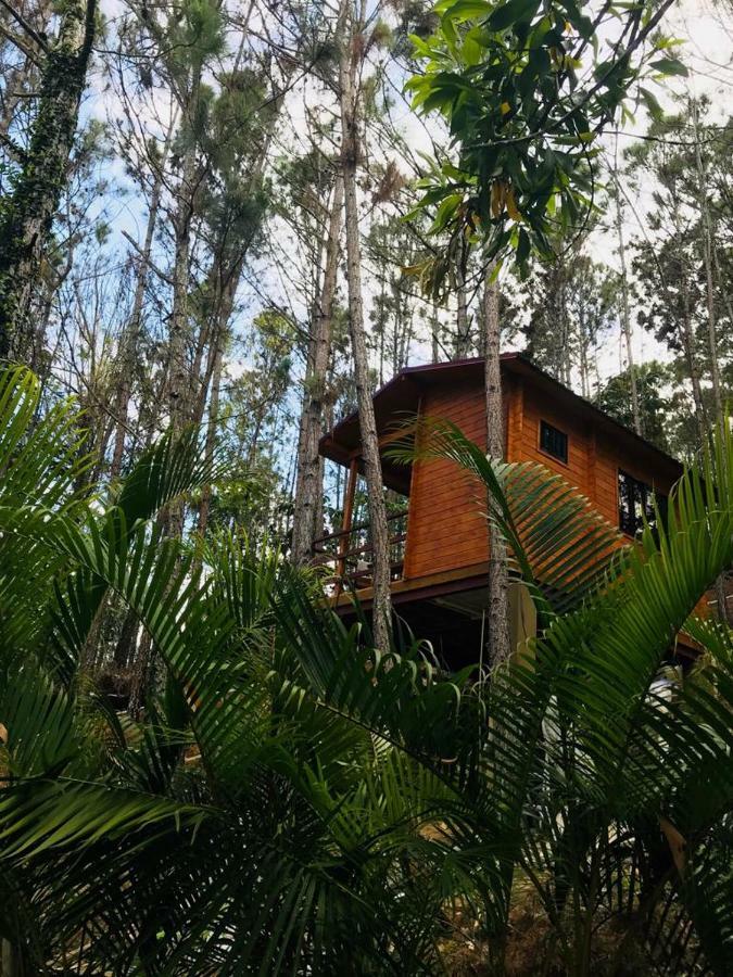 Casa De Arbol, Rancho Tierra Alta Hotel Jarabacoa Exterior foto