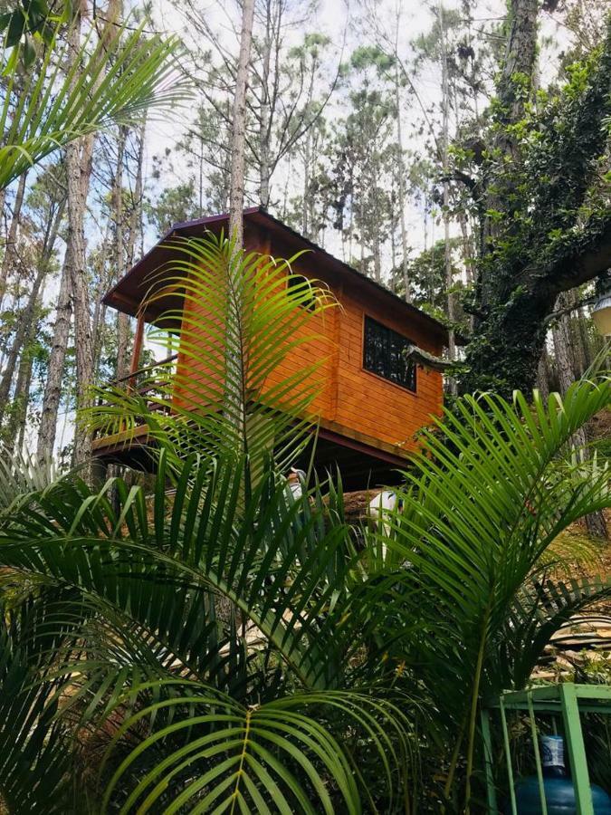 Casa De Arbol, Rancho Tierra Alta Hotel Jarabacoa Exterior foto